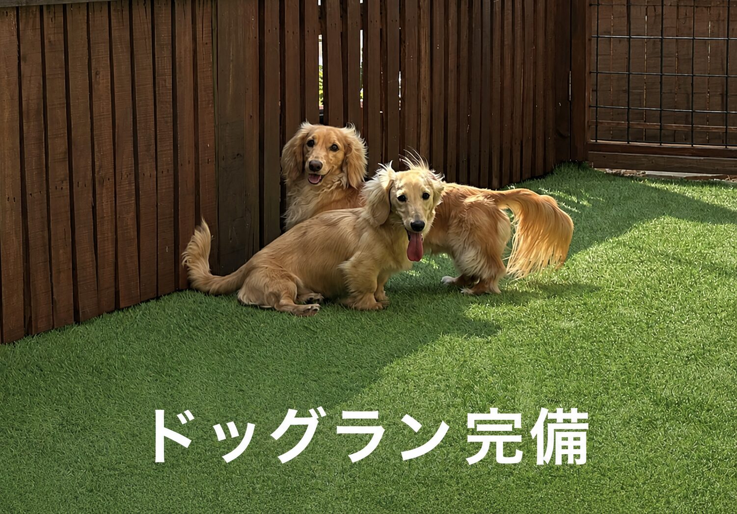 ドッグラン完備 静岡市葵区北安東の工務店 愛犬同伴でご来場ください